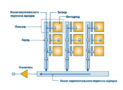 ПЗС-матрица фото 2