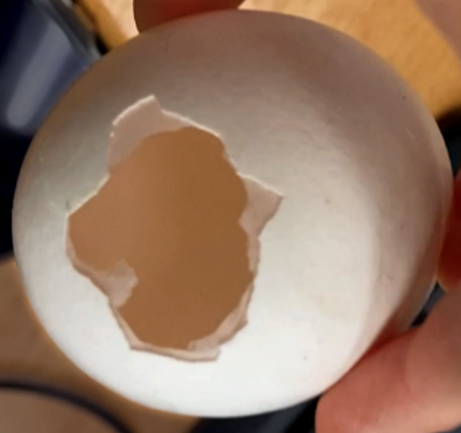 Измерение толщины скорлупы куриного яйца средствами УЗК и РК фото 3