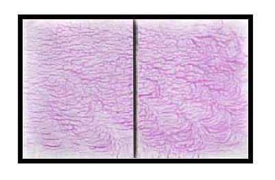 Контрольные образцы для люминесцентной дефектоскопии фото 4